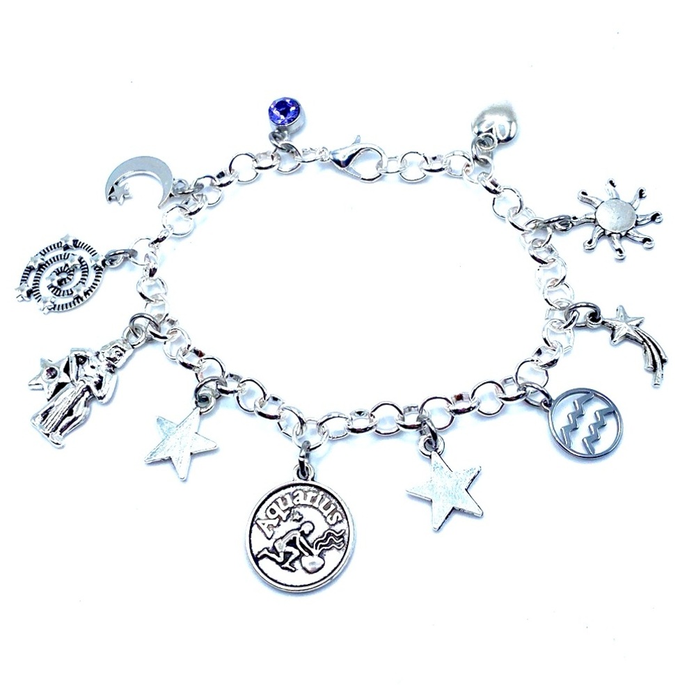 Aquarius Charm Bracelet Zodiac Birthstone Horoscope Birthday